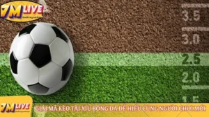 Kèo tài xỉu