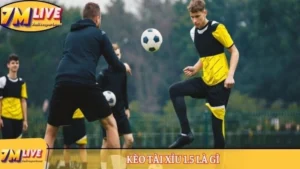 Kèo tài xỉu 1.5 là gì